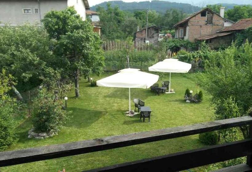 Апартаменты 1 Спальня, Guest House Raffe