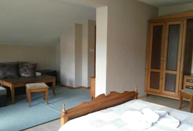 带1个卧室的公寓, Guest House Raffe