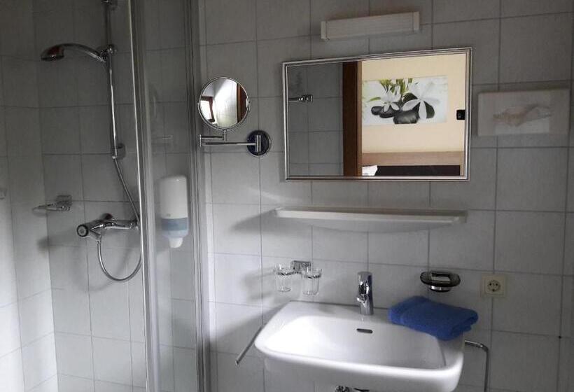Номер Стандарт, Pension Alfenz