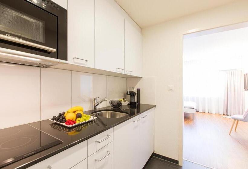 Апартаменты 1 Спальня, Apartmenthaus Zum Trillen Basel City Center