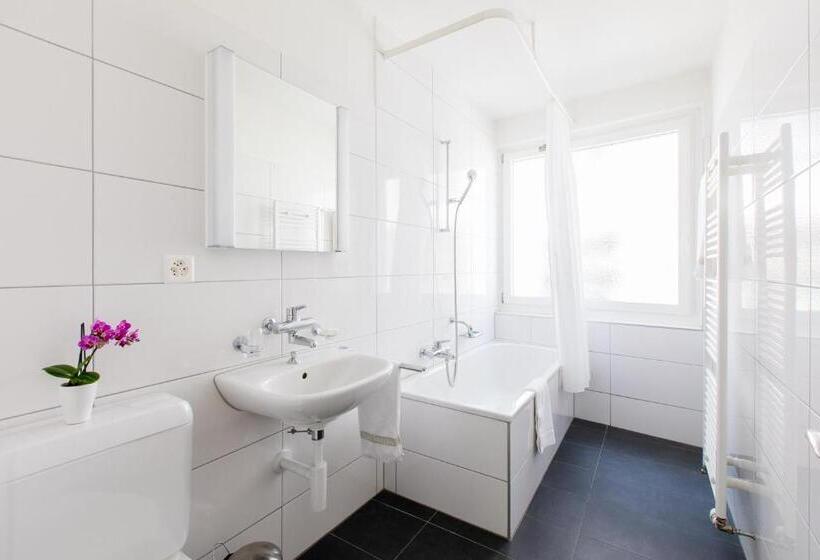 Номер Стандарт Индивидуальный, Apartmenthaus Zum Trillen Basel City Center