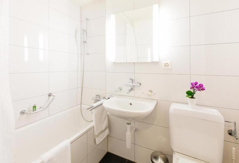 Апартаменты Executive 1 Спальня, Apartmenthaus Zum Trillen Basel City Center