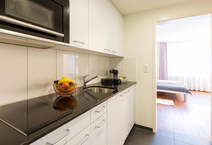 Апартаменты 1 Спальня, Apartmenthaus Zum Trillen Basel City Center