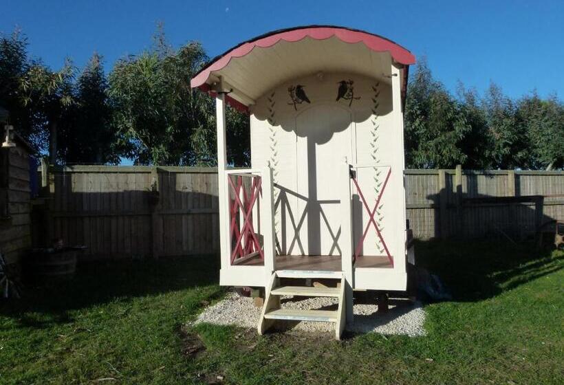 Номер Стандарт, Wacky Stays   Unique Farm Stay Glamping Rentals, Free Animal Feeding Tours