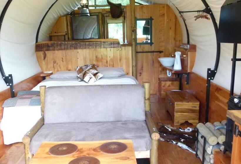 Номер Стандарт, Wacky Stays   Unique Farm Stay Glamping Rentals, Free Animal Feeding Tours