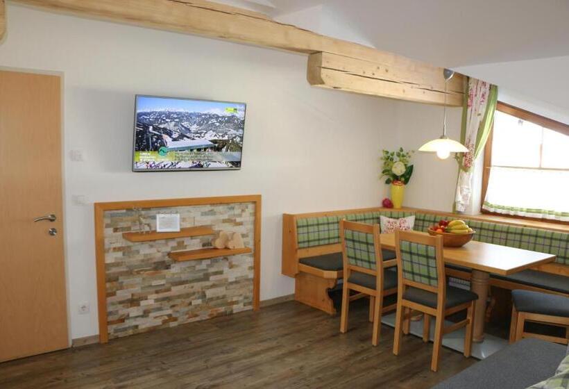 Апартаменты 2 Спальни с Балконом, Gästehaus Pilz Schladming