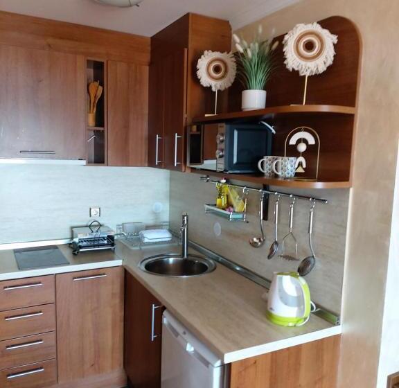 Студио Стандарт Вид на Море с Балконом, Guest House Skalite