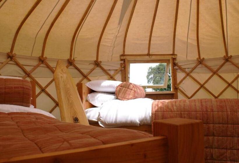 Номер Стандарт, Giltraps Townhouse & Glamping