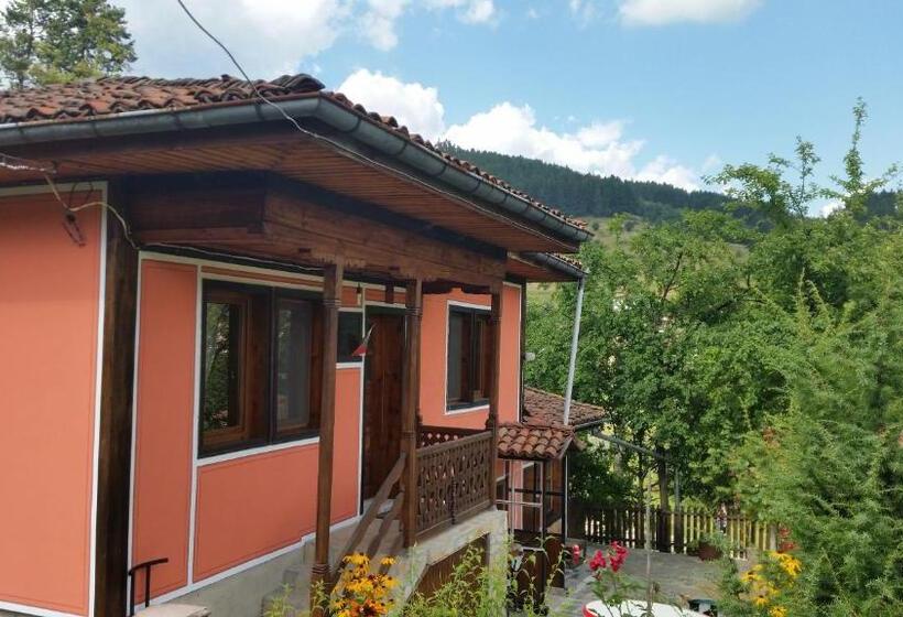 Номер Стандарт Совместная Ванная, Mechta Guest House
