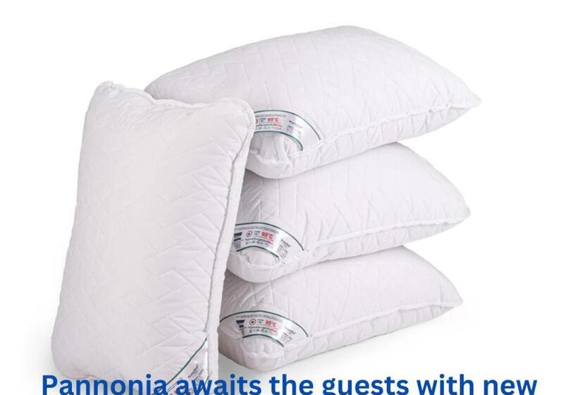 اتاق سوپریور, Pannonia Rooms And Apartments