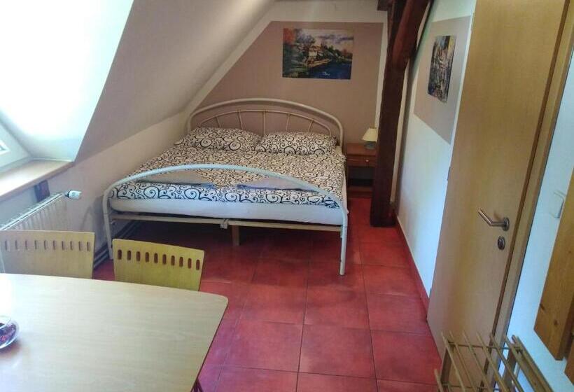 Студия Стандарт, Penzion U Dvojice