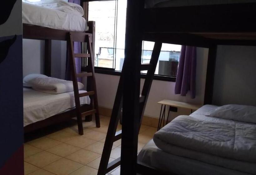 Кровать в Общей Комнате, Supertramp Hostel Machupicchu