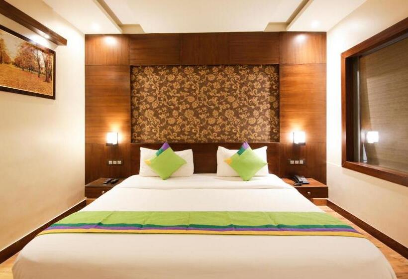 اتاق استاندارد, Treebo Punjabi Nature Residency, Near Faridabad Railway Station