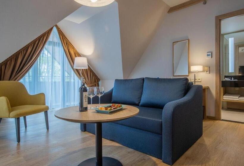 Полулюкс Вид на Горы, Radisson Blu Hotel & Residences