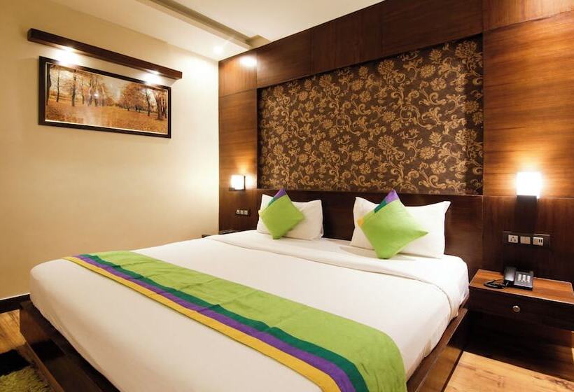 اتاق استاندارد, Treebo Punjabi Nature Residency, Near Faridabad Railway Station