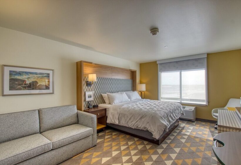 장애인을 위한 스탠다드 룸, Holiday Inn   Appleton, An Ihg