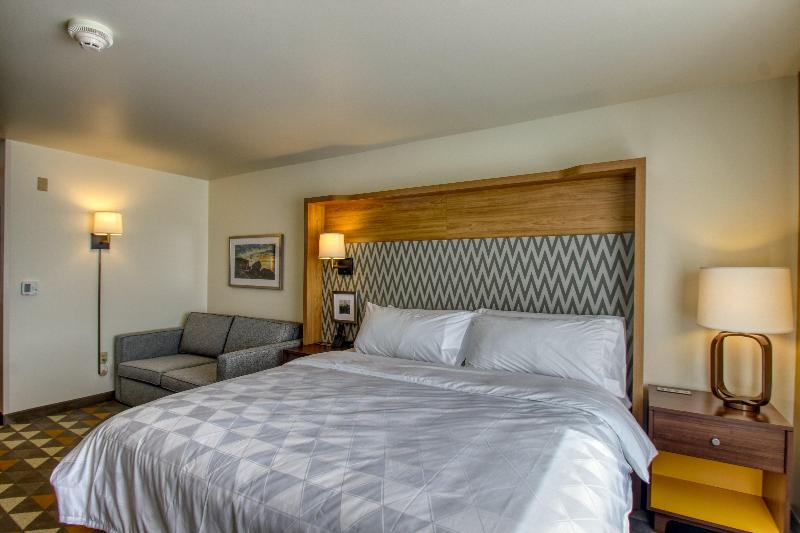 장애인을 위한 스탠다드 룸, Holiday Inn   Appleton, An Ihg