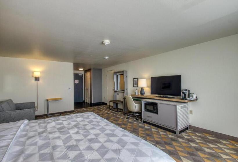 장애인을 위한 킹사이즈 침대 스탠다드 룸, Holiday Inn   Appleton, An Ihg