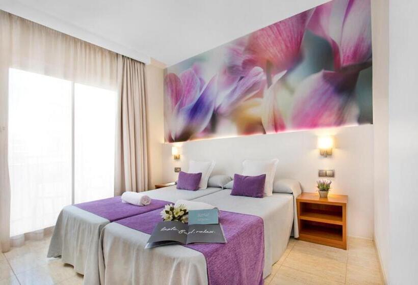 Номер Стандарт, Sumus Monteplaya & Spa 4* Sup - Adults Only