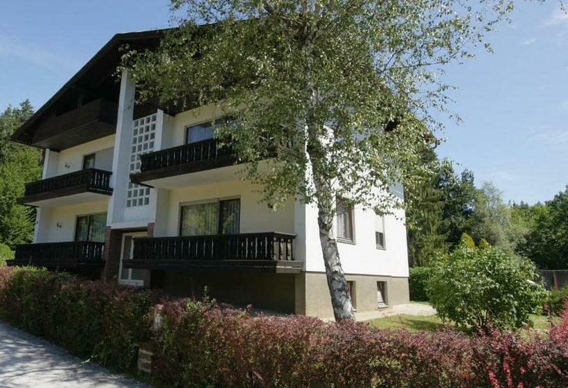 آپارتمان 2 خوابه, Amerika Holzer Hotel & Resort