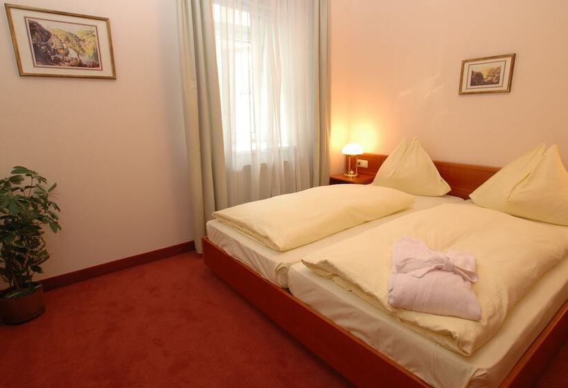 Номер Стандартный с Видом, Sanotel