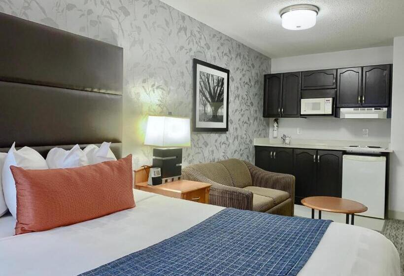 标准间, Best Western Plus Regency Inn And Conference Centre