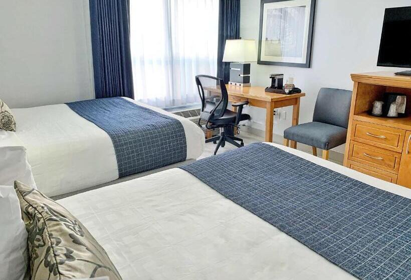 家庭套房, Best Western Plus Regency Inn And Conference Centre