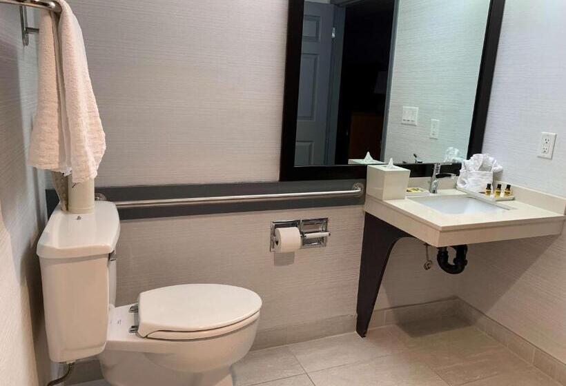 适合残疾人使用的标准间, Best Western Plus Regency Inn And Conference Centre