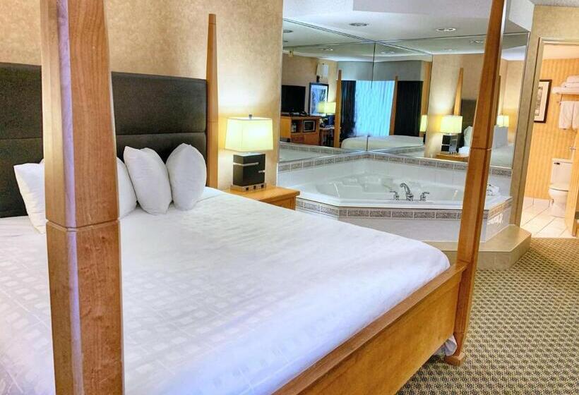 带大床的标准间, Best Western Plus Regency Inn And Conference Centre