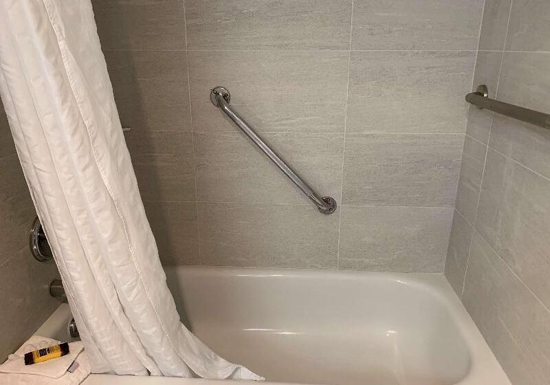 带大床的标准间, Best Western Plus Regency Inn And Conference Centre