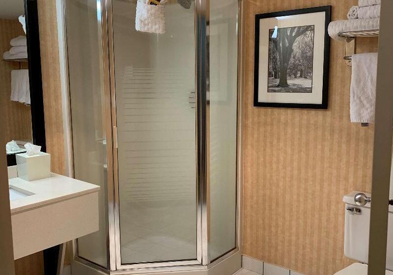 带大床的套房, Best Western Plus Regency Inn And Conference Centre