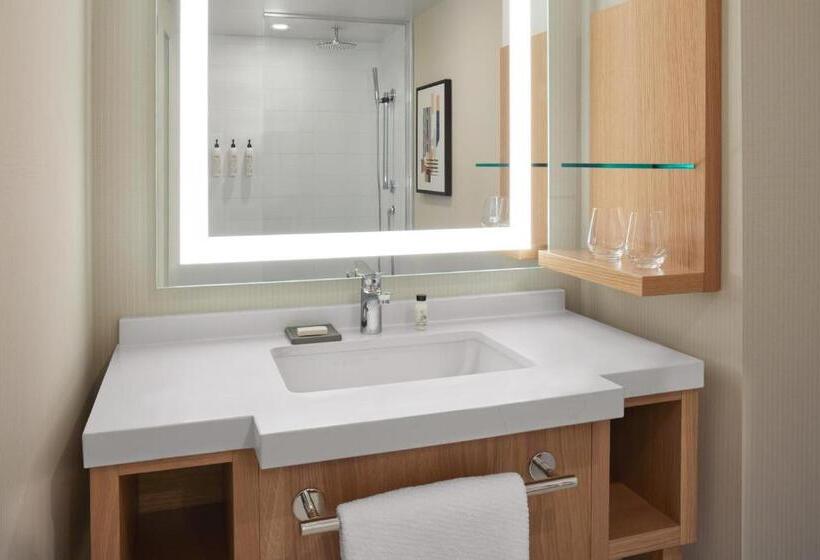 Номер Стандарт, Delta Hotels Calgary Airport In Terminal