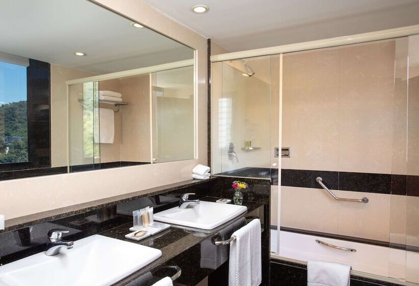 اتاق استاندارد با چشم‌انداز دریا, Hilton Copacabana Rio De Janeiro