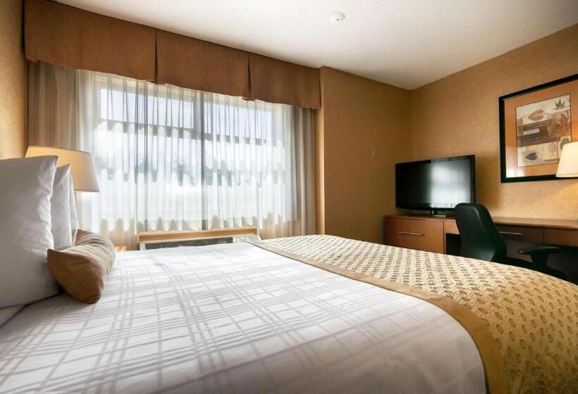 标准间, Best Western Plus Langley Inn