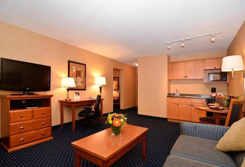 带大床的套房, Best Western Plus Langley Inn