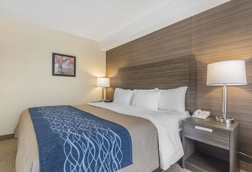 스탠다드 룸 킹사이즈 침대, Comfort Inn