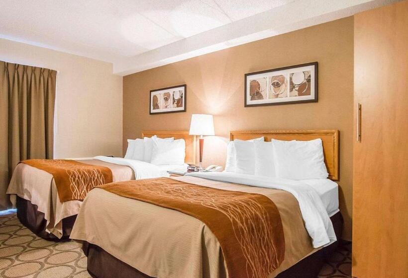 스탠다드 룸 1층, Comfort Inn
