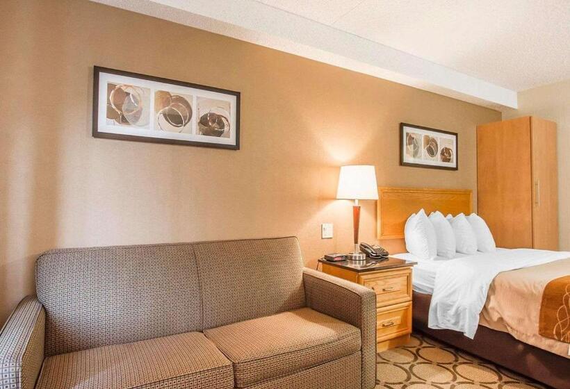 스탠다드 룸 1층, Comfort Inn