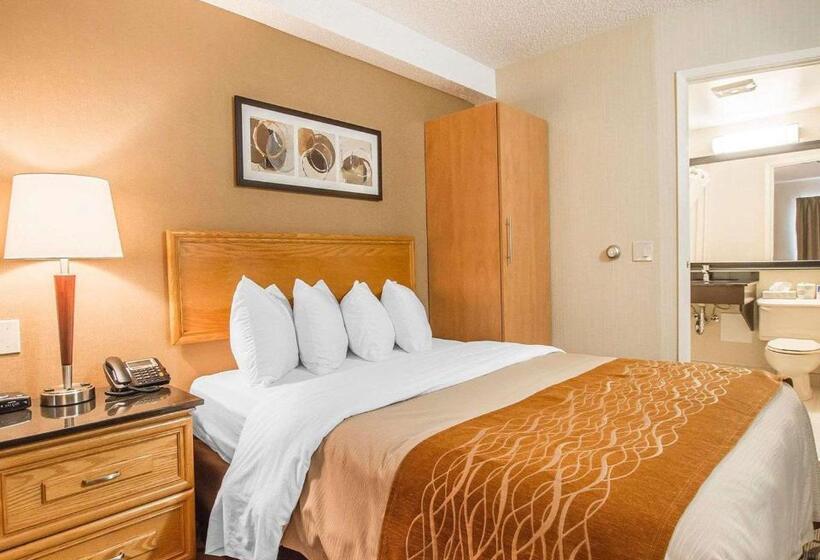 Стандартный Номер Нижний Этаж, Comfort Inn