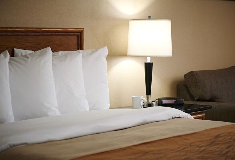 스탠다드 룸 더블 침대 2개, Comfort Inn