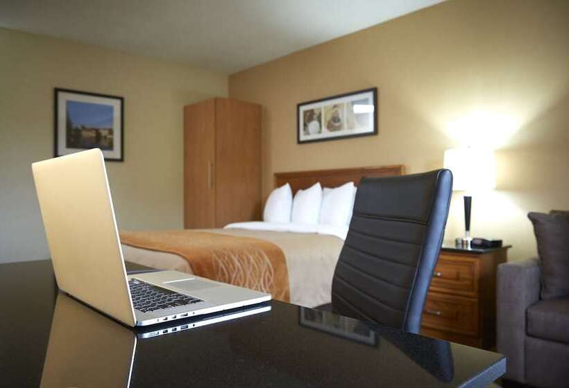 Номер Стандарт 2 Двуспальные Кровати, Comfort Inn