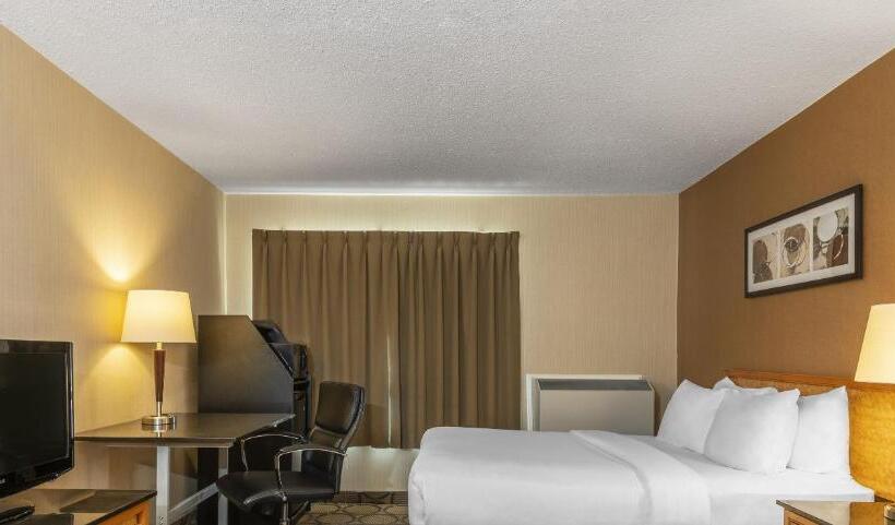 キングサイズベッドのスタンダードルーム, Comfort Inn