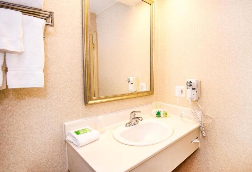 Номер Стандарт 2 Двуспальные Кровати, Holiday Inn Hinton, An Ihg