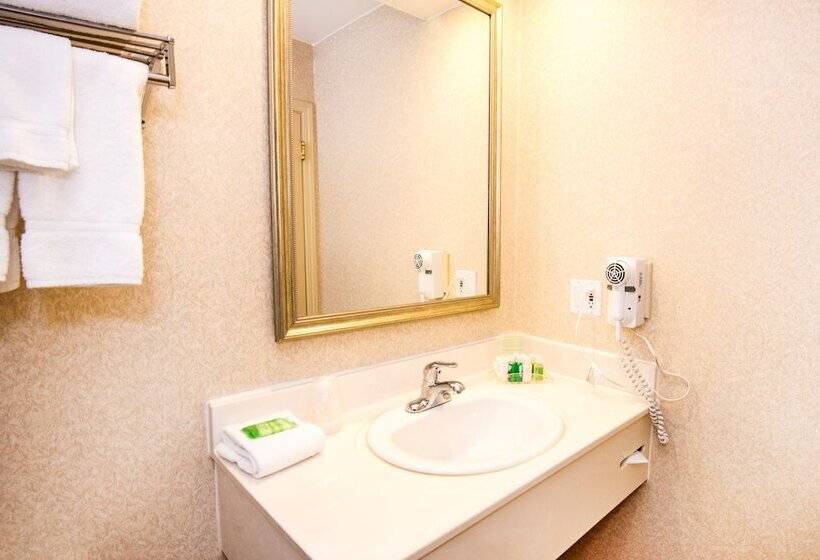 Номер Стандарт 2 Двуспальные Кровати, Holiday Inn Hinton, An Ihg