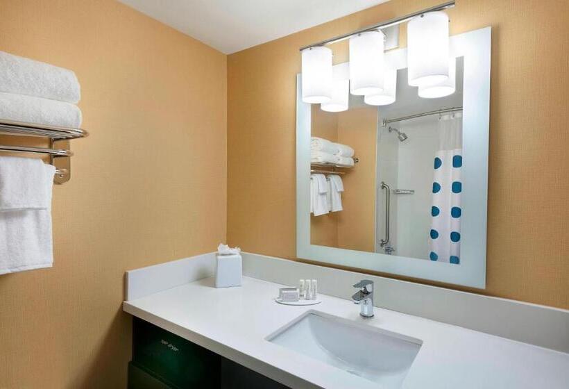 Студио Стандарт Кровать Кинг, Towneplace Suites By Marriott Toronto Northeast/markham