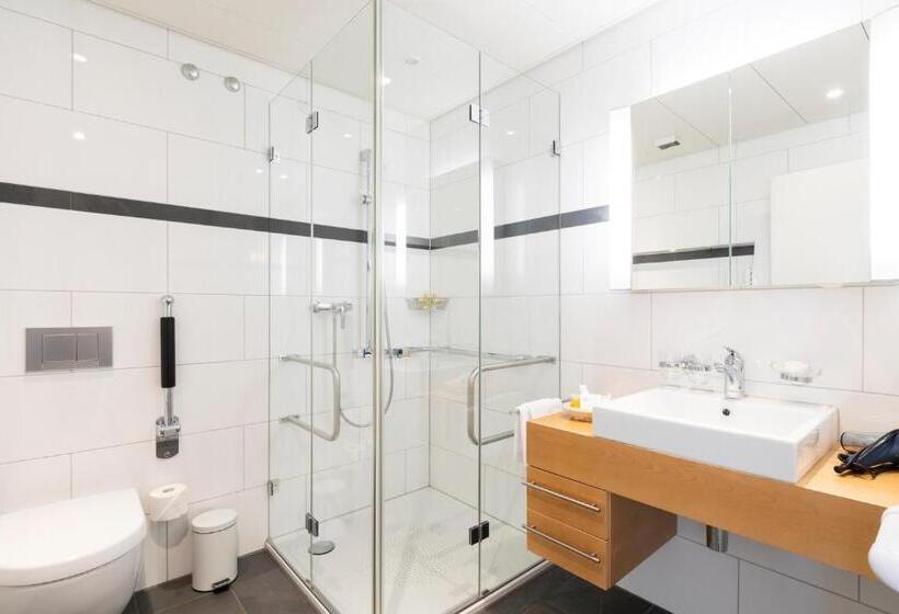 Полулюкс, Park Hotel Am Rhein   Gesundheitshotel Und Residenzen