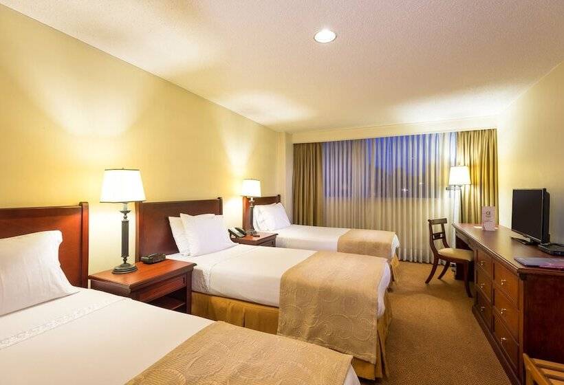 اتاق استاندارد سه نفره, Dann Av. 19