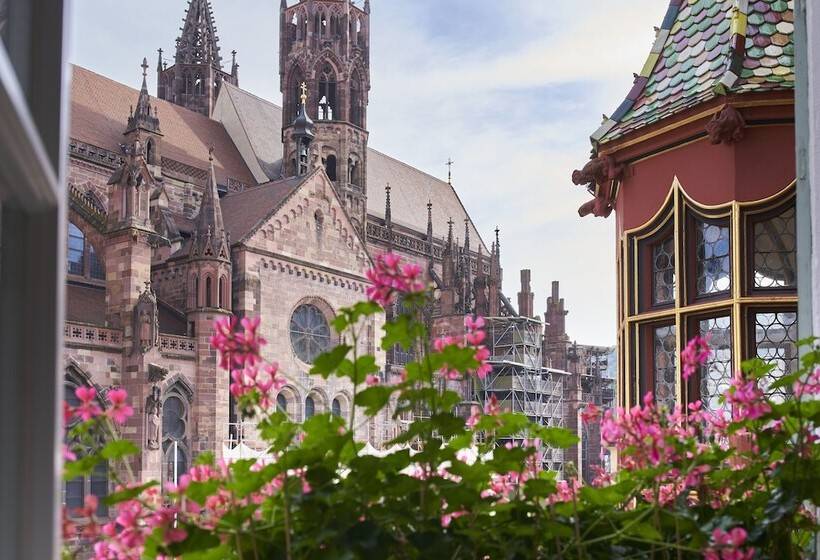 Номер Стандарт Индивидуальный, Boutiquehotel Oberkirch Im Zentrum