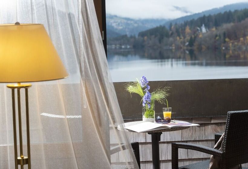 Номер Superior Одноместный, Maritim Titisee