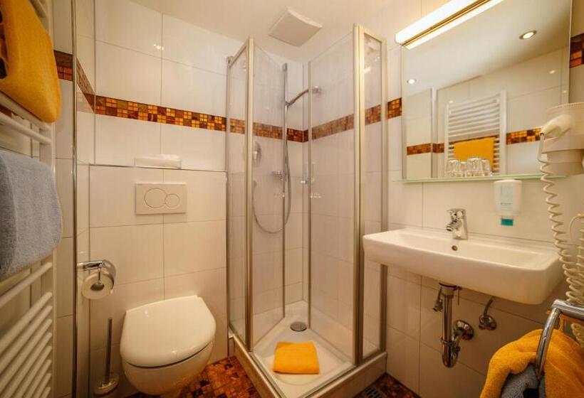 Номер Стандарт Индивидуальный, Parkhotel Sonnenhof